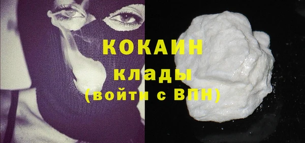 винт Богданович