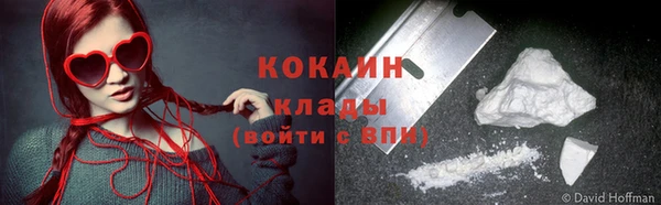индика Беломорск