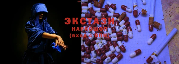 индика Беломорск