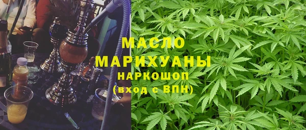 индика Беломорск