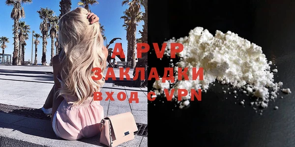 индика Беломорск