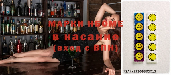 индика Беломорск