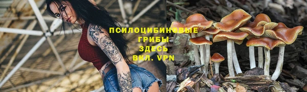 спайс Богородицк
