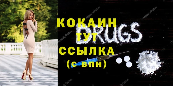 индика Беломорск