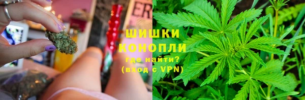 гидропоника Белоозёрский