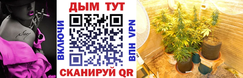 Бошки Шишки AK-47 Купить Лесосибирск